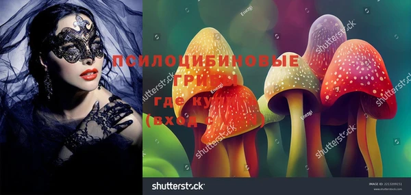spice Арсеньев